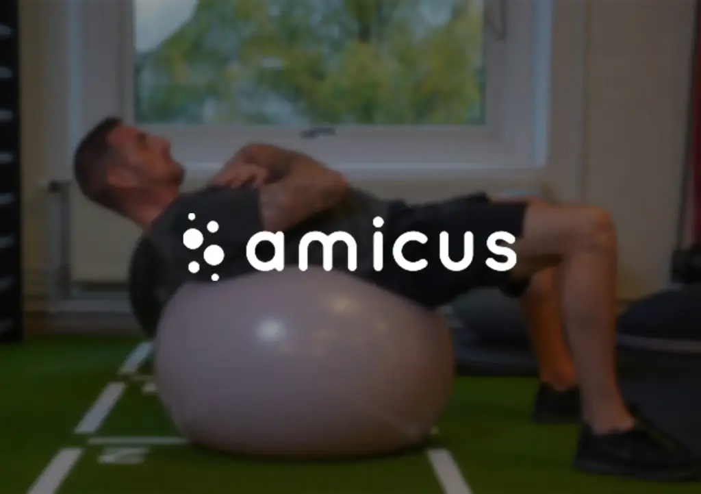 Amicus kundcase