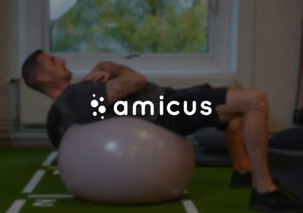 amicus